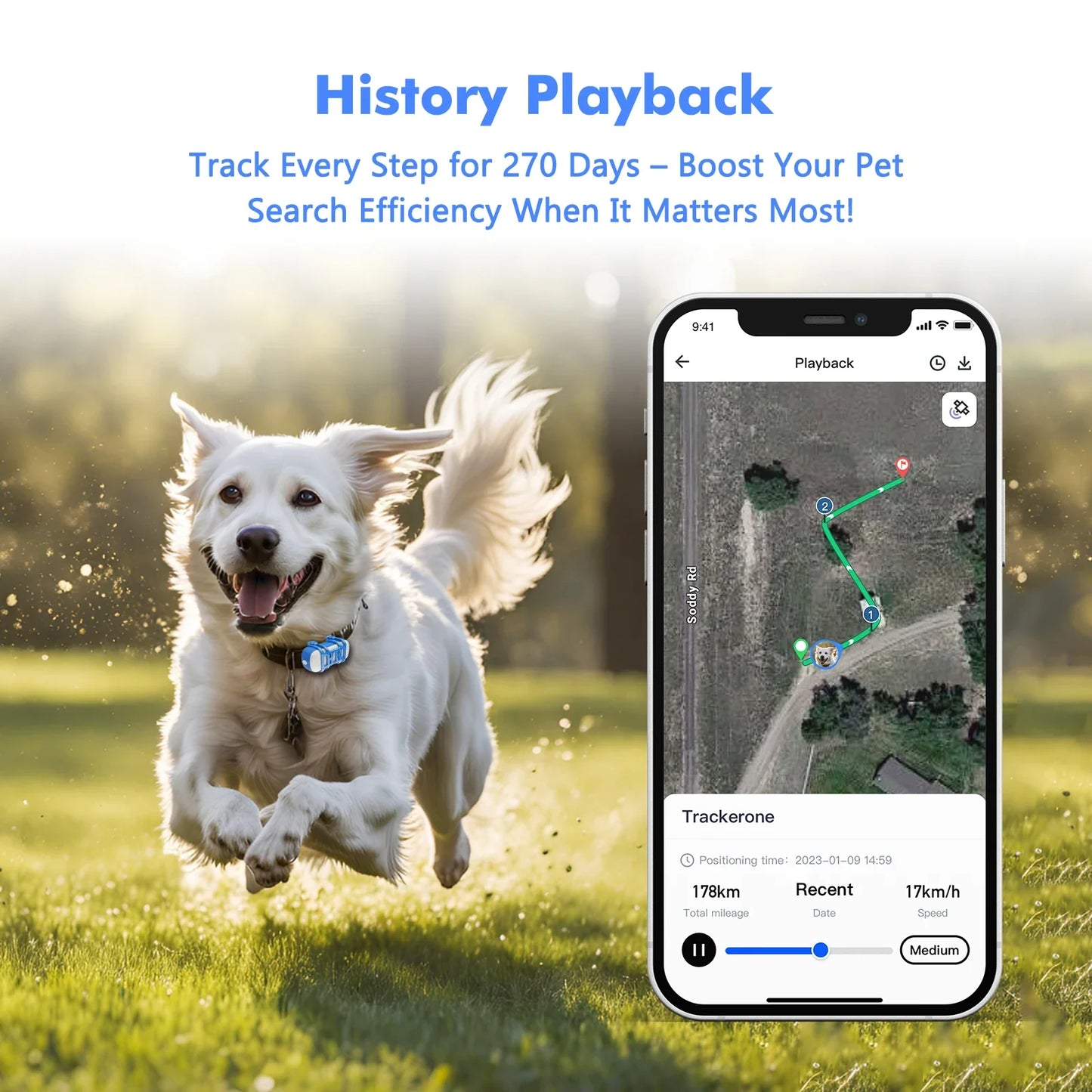 PawTrack GPS Pet Finder