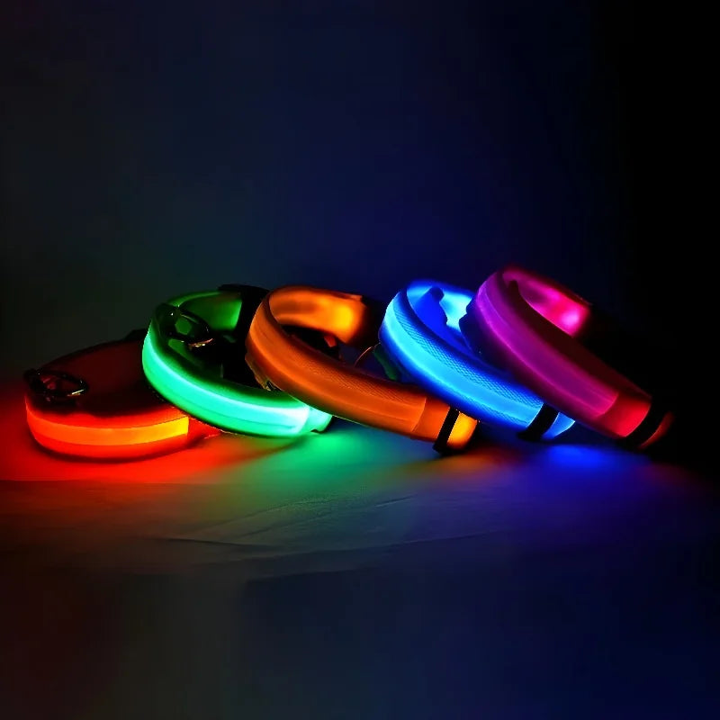 Glow-in-the-Dark Dog Collar