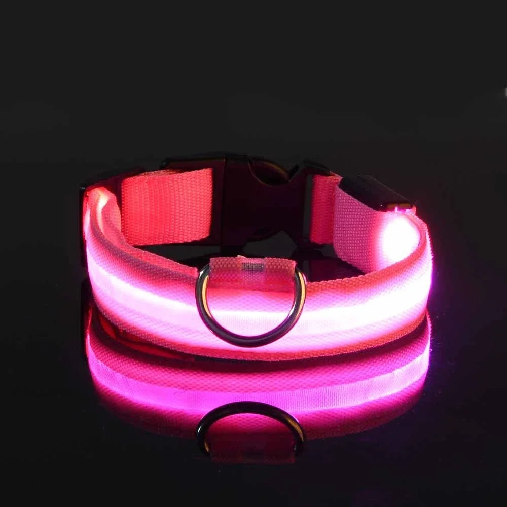 Glow-in-the-Dark Dog Collar
