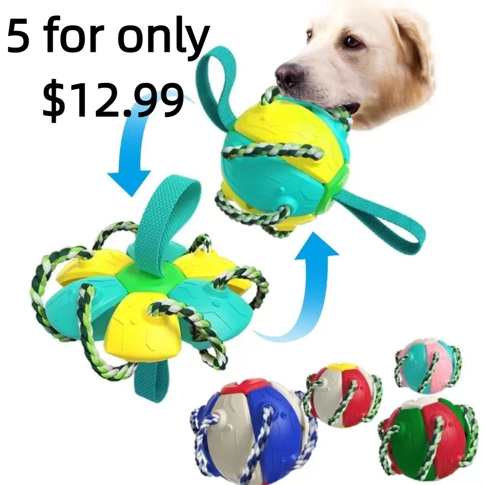 Interactive Flying Disc Ball Dog Toy