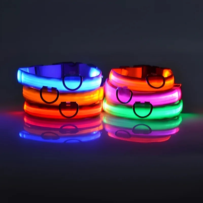Glow-in-the-Dark Dog Collar