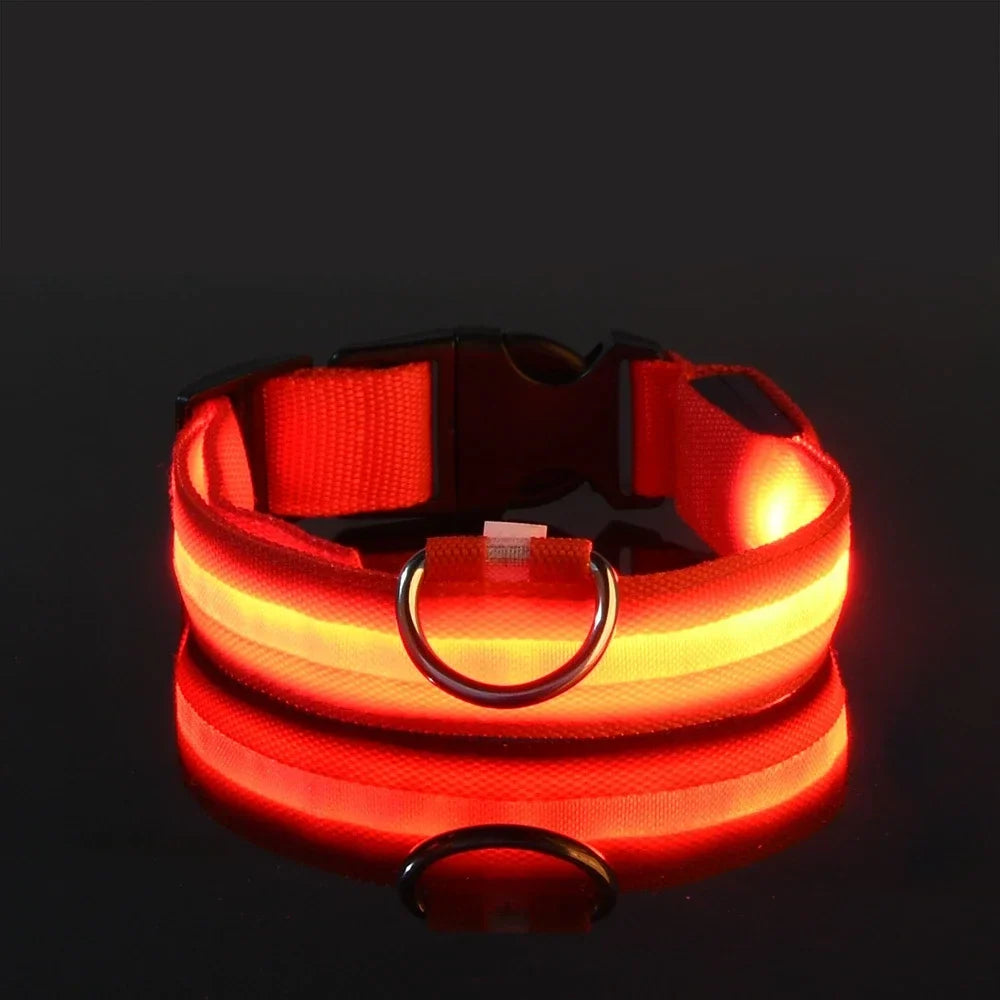 Glow-in-the-Dark Dog Collar