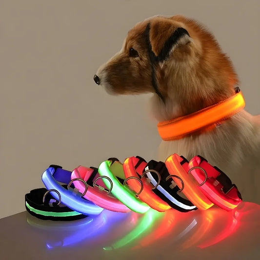 Glow-in-the-Dark Dog Collar